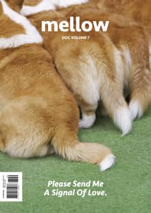 Mellow Dog Volume 7 멜로우 매거진