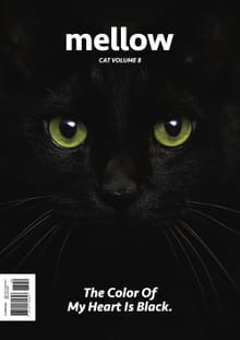 Mellow Cat Volume 8 멜로우 매거진