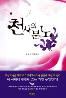 천사의 분노