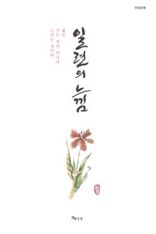일련의 느낌