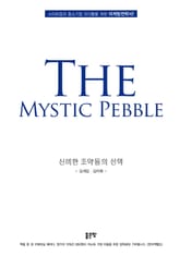 신비한 조약돌의 선택 표지 이미지