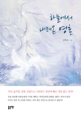 하늘에서 내려온 영혼 표지 이미지