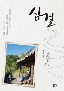 심결