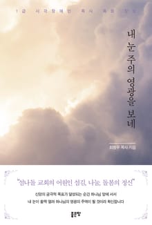 내 눈 주의 영광을 보네