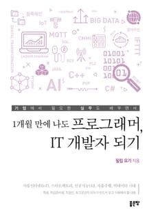 1개월 만에 나도 프로그래머, IT 개발자 되기