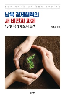 남북 경제협력의 새 비전과 과제 : 남한식 헤게모니 모색