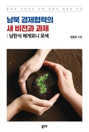 남북 경제협력의 새 비전과 과제 : 남한식 헤게모니 모색