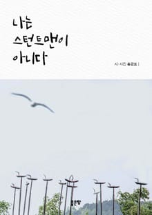 나는 스턴트맨이 아니다