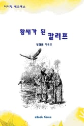 황새가 된 칼리프 표지 이미지