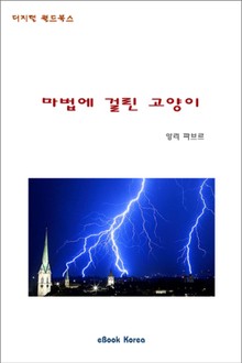 마법에 걸린 고양이
