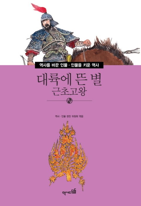 대륙에 뜬 별 - 근초고왕 표지 이미지