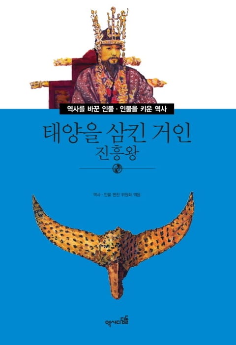 태양을 삼킨 거인 - 진흥왕 표지 이미지