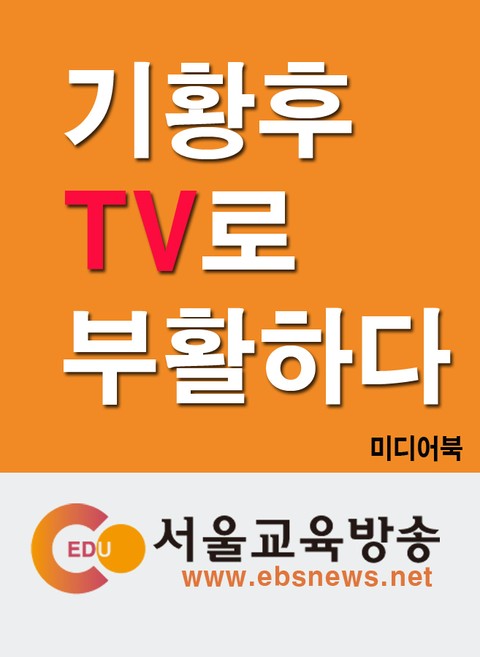 기황후 TV로 부활하다 표지 이미지