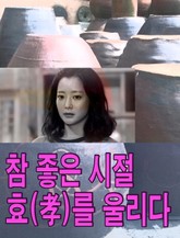 참 좋은 시절, 효를 울리다 표지 이미지