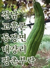 전남 고흥군 동강면 대강리 평촌부락 표지 이미지