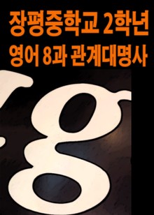 장평중학교 2학년 영어 8과(천재교육) 관계대명사