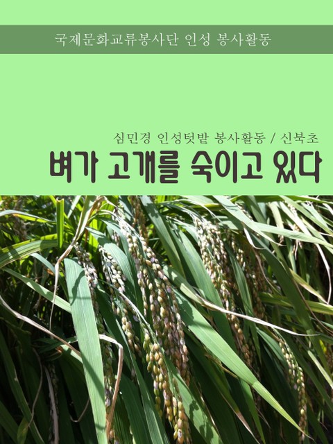 벼가 고개를 숙이고 있다. 표지 이미지