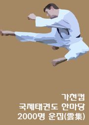 가천컵 국제태권도한마당 2000명 운집