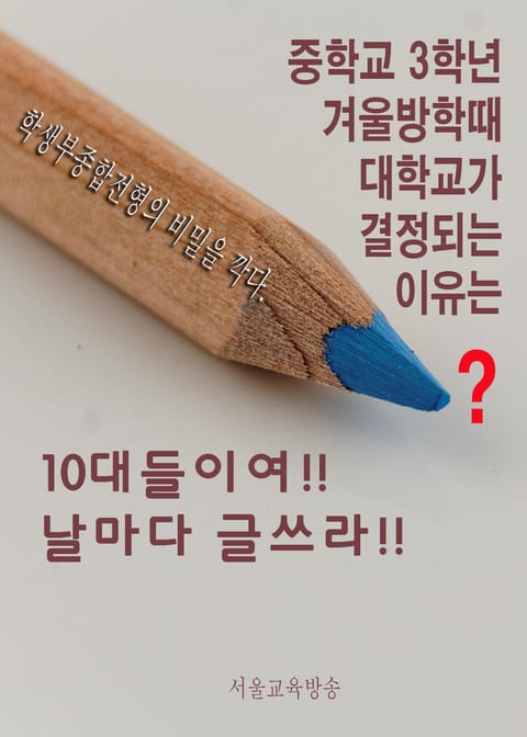 10대들이여!! 날마다 글쓰라!!  표지 이미지