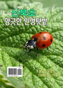 향긋한 신북초 인성텃밭