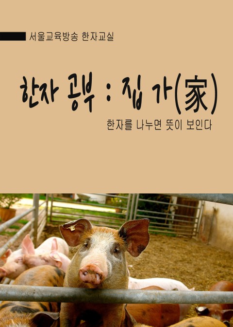 서울교육방송 한자교실 한자공부 : 집 가(家) 표지 이미지