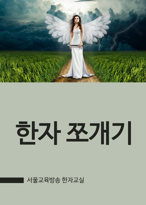 한자 쪼개기 표지 이미지