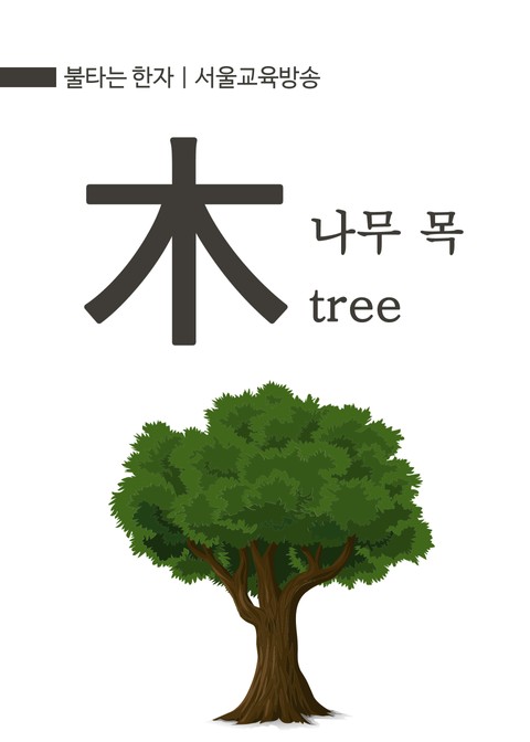 불타는 한자 : 나무 목(木) tree 표지 이미지