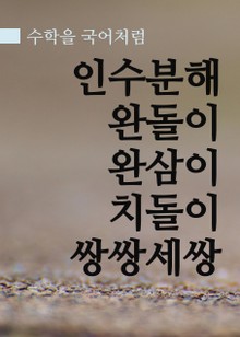 수학을 국어처럼 : 인수분해 완전제곱식 완돌이 완삼이 곱돌이 치돌이 쌍쌍세쌍