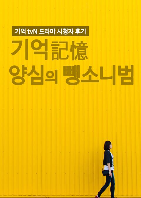 기억 : 양심의 뺑소니범 표지 이미지