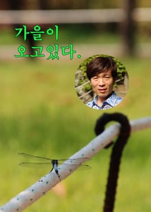 가을이 오고 있다.