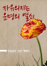 자유의지는 운명의 열쇠 (장창훈의 신앙 에세이) 표지 이미지