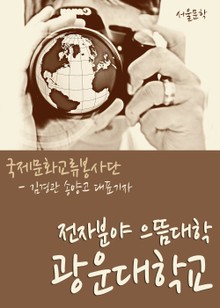 전자분야 으뜸대학 광운대학교