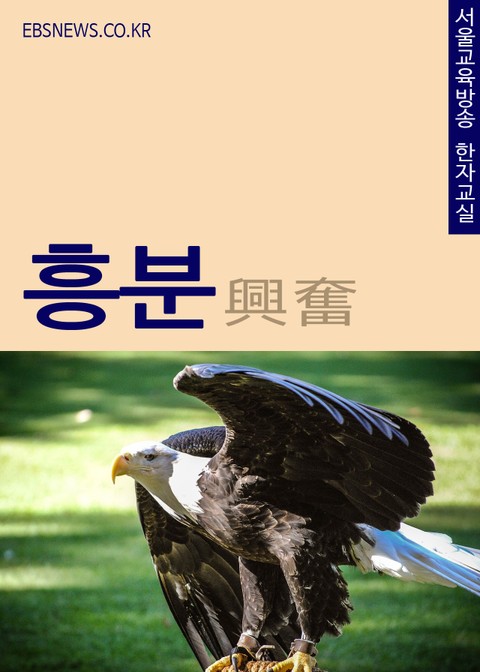 생활단어 흥분(興奮) 서울교육방송 한자교실 표지 이미지