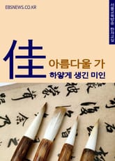 아름다울 가(佳) 하얗게 생긴 미인 표지 이미지