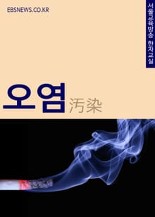 오염(汚染) 한자 뜻 (더렵게 염색되다)