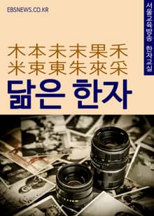 닮은 한자 木本未末果禾米束東朱來采