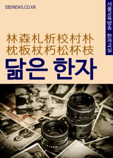 닮은 한자 林森札析校村朴枕板杖朽松杯枝