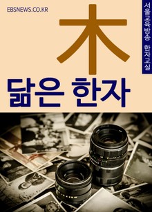 통째로 갈아먹는 닮은 한자 - 木 (80개 한자 낱글자 해석 수록)
