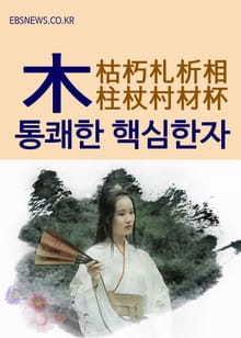 통쾌한 핵심한자 (木) 枯朽札析相柱杖村材杯