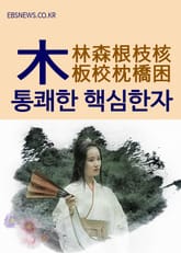 통쾌한 핵심한자 (木) 林森根枝核板校枕橋困 표지 이미지