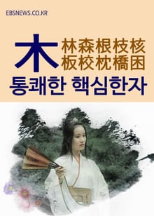 통쾌한 핵심한자 (木) 林森根枝核板校枕橋困
