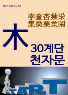 30계단 천자문 (木) 李査杏禁采集桑栗柔閑