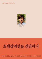 효행장려법을 진단하다 표지 이미지