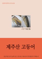 장창훈의 수필여행 (제주산 고등어) 표지 이미지