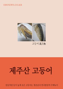 장창훈의 수필여행 (제주산 고등어)
