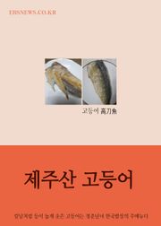 장창훈의 수필여행 (제주산 고등어)