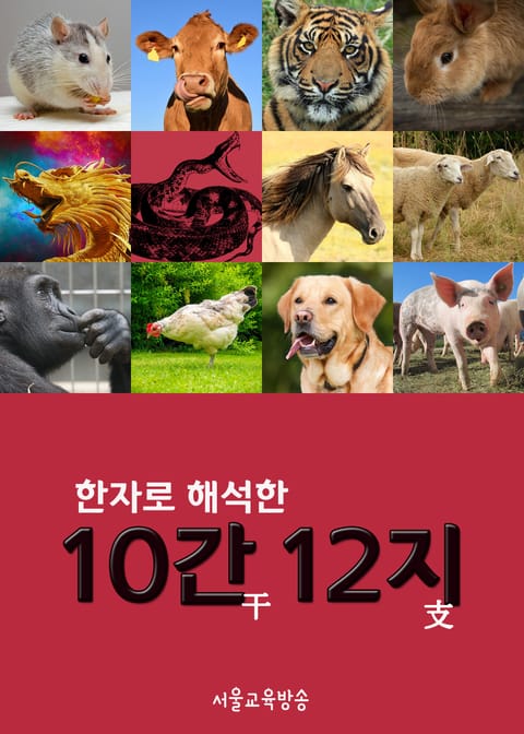 한자로 해석한 10간12지 (60갑자와 12띠) 표지 이미지