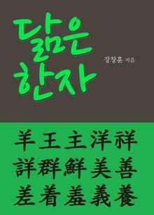 닮은 한자 羊王主洋祥詳群鮮美善差着羞義養