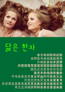 척보면 척아는 닮은 한자 (122자 수록)