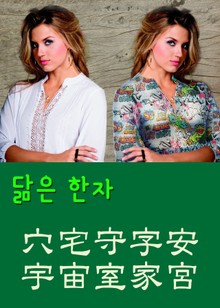 닮은 한자 穴宅守字安宇宙室家宮
